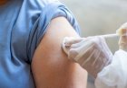 Vacina de DNA chega aos hospitais brasileiros ainda este ano