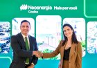Ministério de Minas e Energia prorroga contrato de concessão da Neoenergia Coelba na Bahia, que divulga investimento recorde de R$ 24,7 bilhões e anuncia Fabiana Lopes como nova diretora-presidente