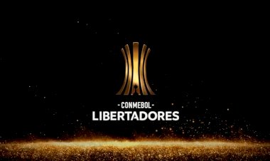 Ingresso para final da Libertadores entre Palmeiras e Flamengo deve custar R$1,36 mil; entenda