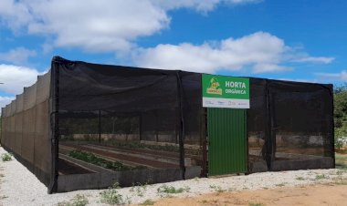 Coleta seletiva em Caetité produz mais de 2 toneladas de adubo natural e mantém colheita sustentável em horta 100% orgânica