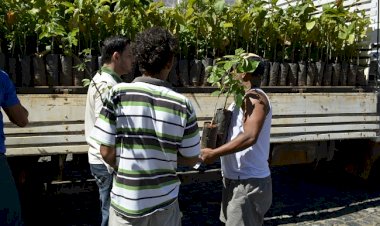 Campanha “Adote uma muda” está de volta