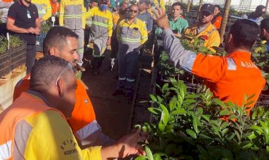 Contra #PoluiçãoPlástica, Semana do Meio Ambiente da BAMIN recolhe mais de 1.700 garrafas pet em Caetité e Licínio de Almeida