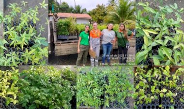 BAMIN realiza doação de mudas de árvores nativas da Mata Atlântica para iniciativas de recomposição ambiental em Itapetinga