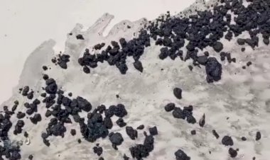 Prefeitura baiana inicia mutirão para retirar manchas de óleo encontrados em praia turística