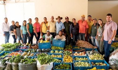 Produtores rurais assistidos pelo Programa Germinação entregam mais de 2 mil quilos de alimentos agroecológicos em Pindaí