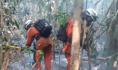 Base Florestal Sul conta com mais 50 bombeiros militares e 10 viaturas no apoio ao combate aos incêndios