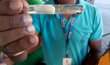 Vitória da Conquista lidera o número de casos e mortes por Dengue na Bahia