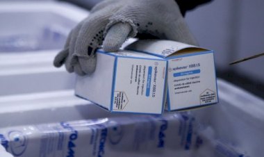 Saúde deixa vacinas vencerem e incinera 10,9 milhões de doses em 2024