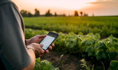 Agricultores apostam em novas tecnologias para superar a instabilidade climática; veja dicas para planejar a safra