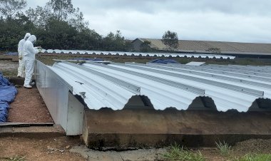 Finalizada obra de substituição da cobertura dos silos de Torta II na INB em Caldas/MG