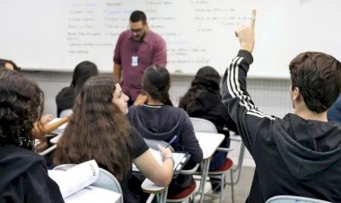 Programa Mais Professores: senadoras comentam iniciativa