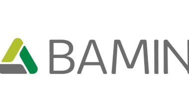 Bamin pode ser vendida para a Brazil Iron