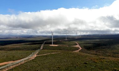 Bahia amplia liderança em energia limpa com inauguração do Complexo Eólico Pedra Pintada