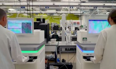 Reino Unido dá primeiro passo para criar DNA humano do zero