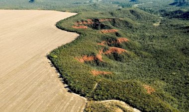 Câmara aprova novas regras para licenciamento ambiental