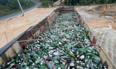 Programa de reciclagem já recuperou quase 500 toneladas de vidro em Trancoso
