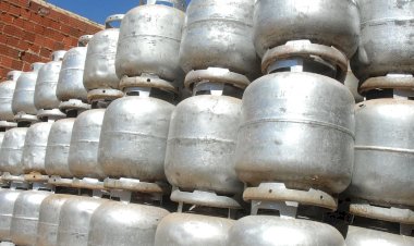 Petrobras quer retornar à distribuição de GLP em um momento de reformulação das regras do setor.