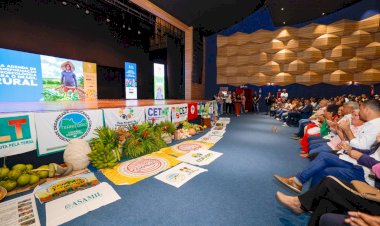 3ª Conferência Estadual debate estratégias para o desenvolvimento rural sustentável na Bahia