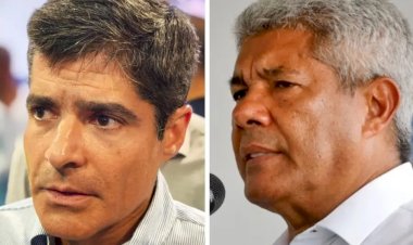 Séculus/ Bahia Notícias: ACM Neto lidera corrida de 2026 na Bahia com 48,3%; Jerônimo aparece com 31,2%