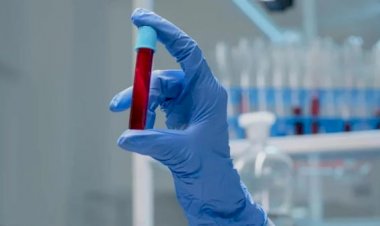 Testemunhas de Jeová mudam regra polêmica sobre doar sangue