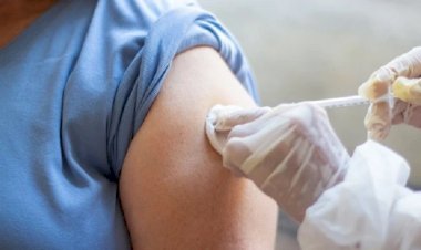 Vacina de DNA chega aos hospitais brasileiros ainda este ano