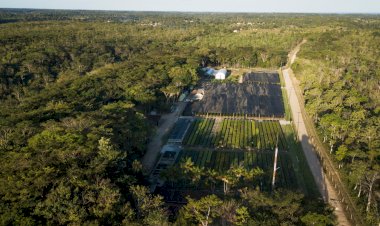 Fundo Clima: BNDES desembolsa R$ 26 mi à projeto da Symbiosis na Bahia, em operação com fiança bancária