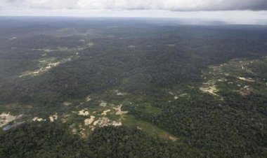 Falhas permitiram lavar R$ 18,4 bi em ouro ilegal na Amazônia
