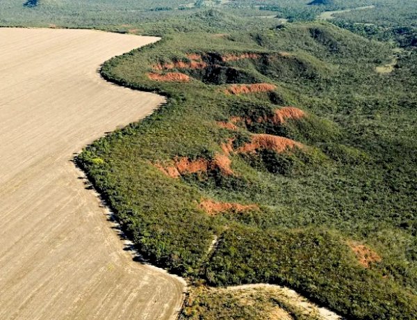 Câmara aprova novas regras para licenciamento ambiental