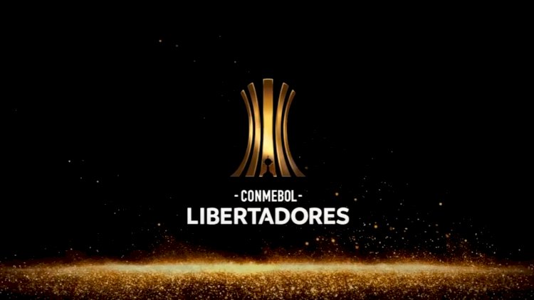 Ingresso para final da Libertadores entre Palmeiras e Flamengo deve custar R$1,36 mil; entenda