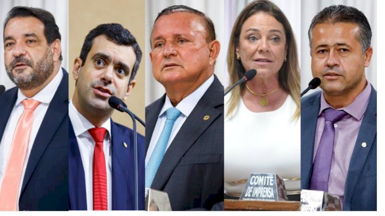 Deputada Fabíola Mansur é escolhida destaque no ano de 2022 na AL-BA