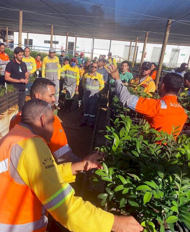 Contra #PoluiçãoPlástica, Semana do Meio Ambiente da BAMIN recolhe mais de 1.700 garrafas pet em Caetité e Licínio de Almeida