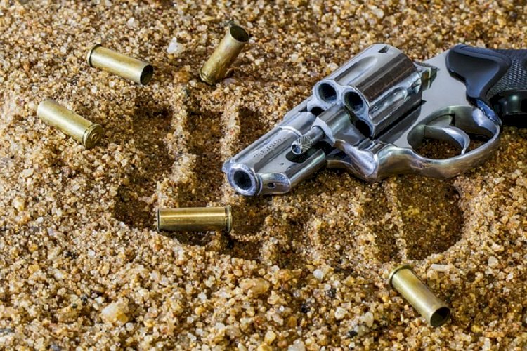 Senado aprova teste toxicológico para posse e porte de arma