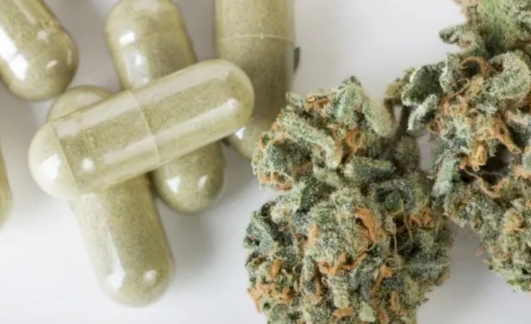Em audiência na Câmara, políticos aprovam uso medicinal da maconha