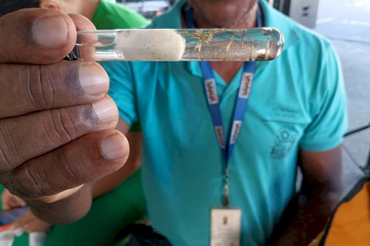 Vitória da Conquista lidera o número de casos e mortes por Dengue na Bahia
