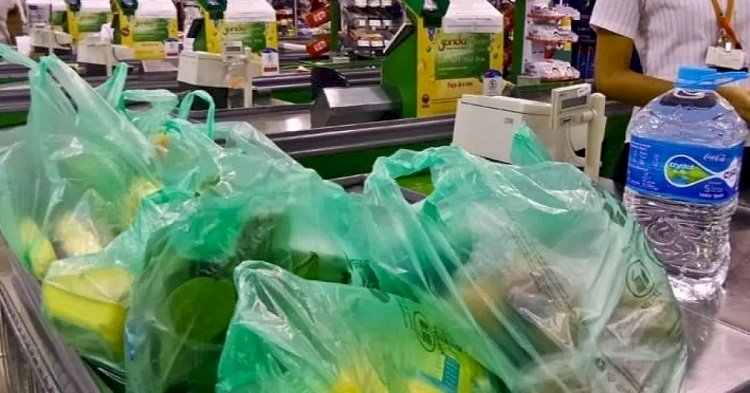 Fiscalização de sacolas recicláveis em Salvador é iniciada pela Codecon após vigência da nova lei