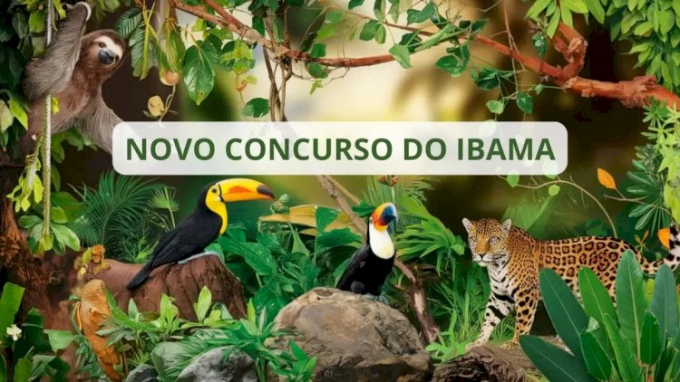Com salários de até R$ 10.735, IBAMA tem novo concurso público com 460 vagas disponíveis para todos os estados e diversos níveis de escolaridade!