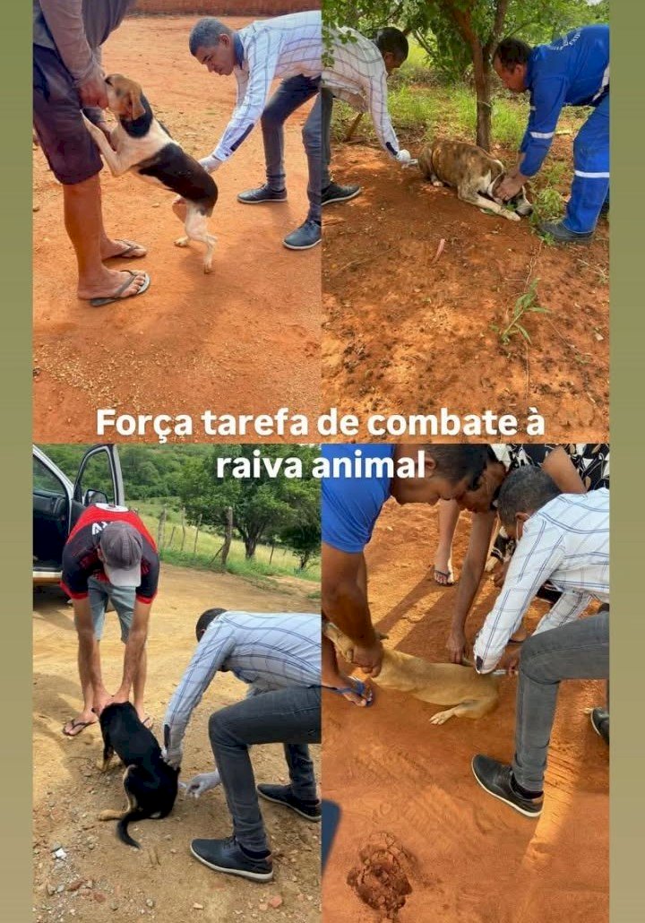 Secretaria de Saúde de Guanambi reforça orientação para vacinação em rebanhos, em regiões suspeitas de raiva animal