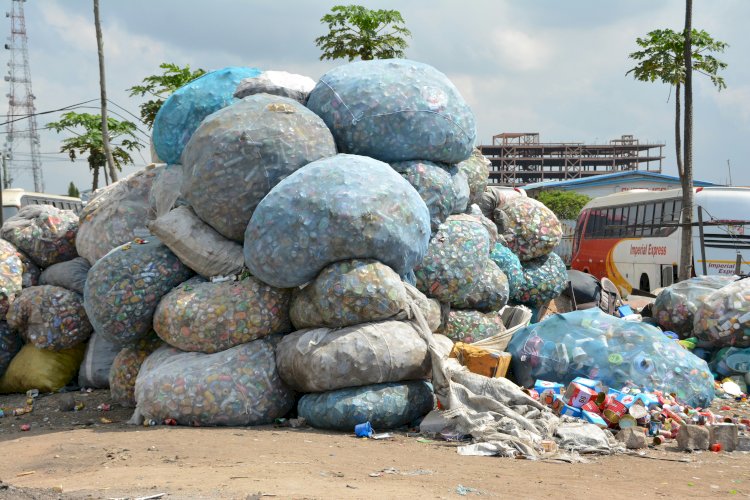 Com apenas 8% do lixo reciclado, Brasil encara desafios na coleta seletiva e aponta novos caminhos para 2025