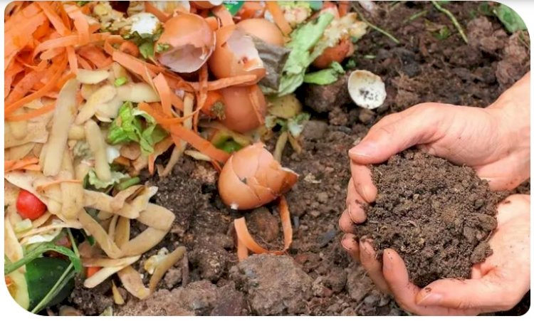 Compostagem ainda é quase nula no Brasil