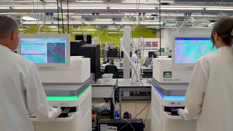 Reino Unido dá primeiro passo para criar DNA humano do zero
