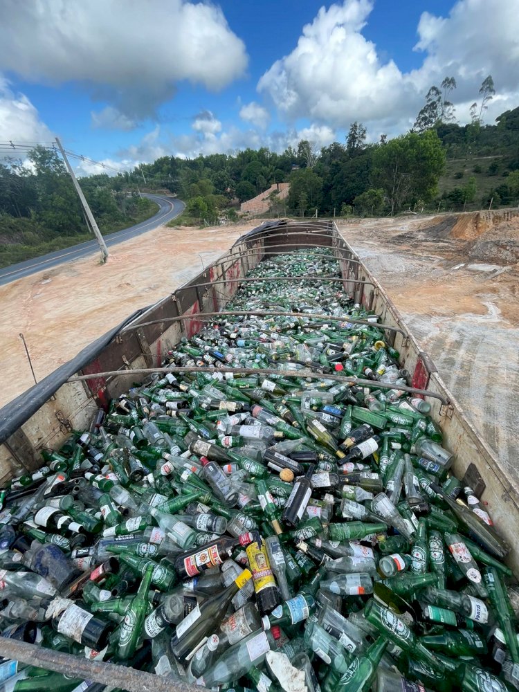 Programa de reciclagem já recuperou quase 500 toneladas de vidro em Trancoso