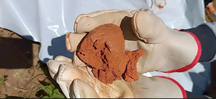 Goiás mira protagonismo global com minerais críticos