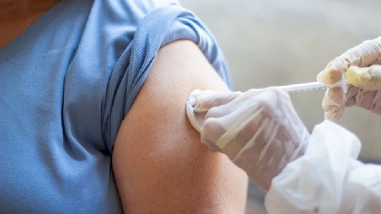 Vacina de DNA chega aos hospitais brasileiros ainda este ano