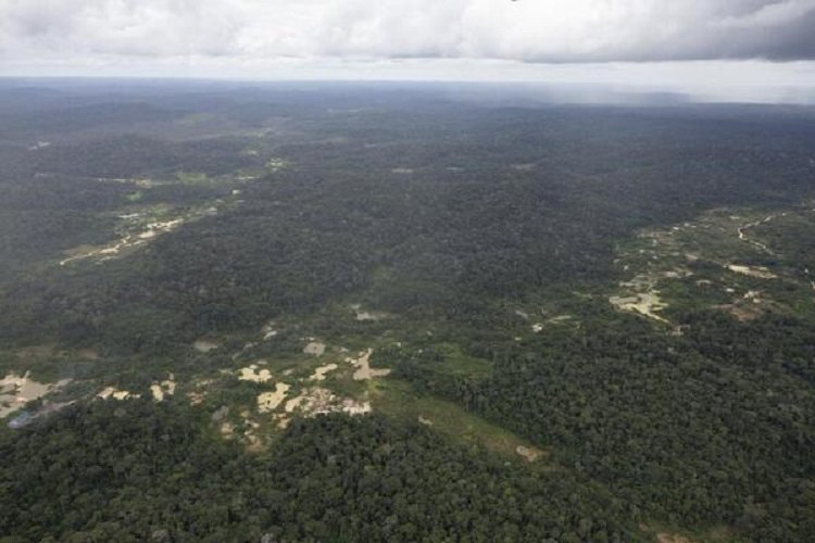Falhas permitiram lavar R$ 18,4 bi em ouro ilegal na Amazônia